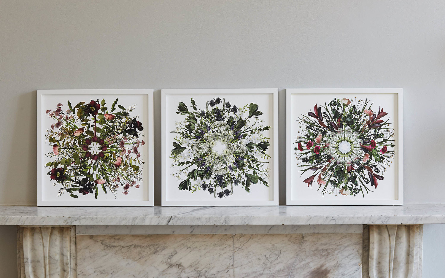 Flowers & Foliage